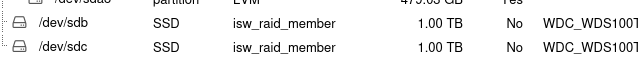 Beide RAID1-Memberplatten erscheinen einzeln, aber als isw_raid_member.